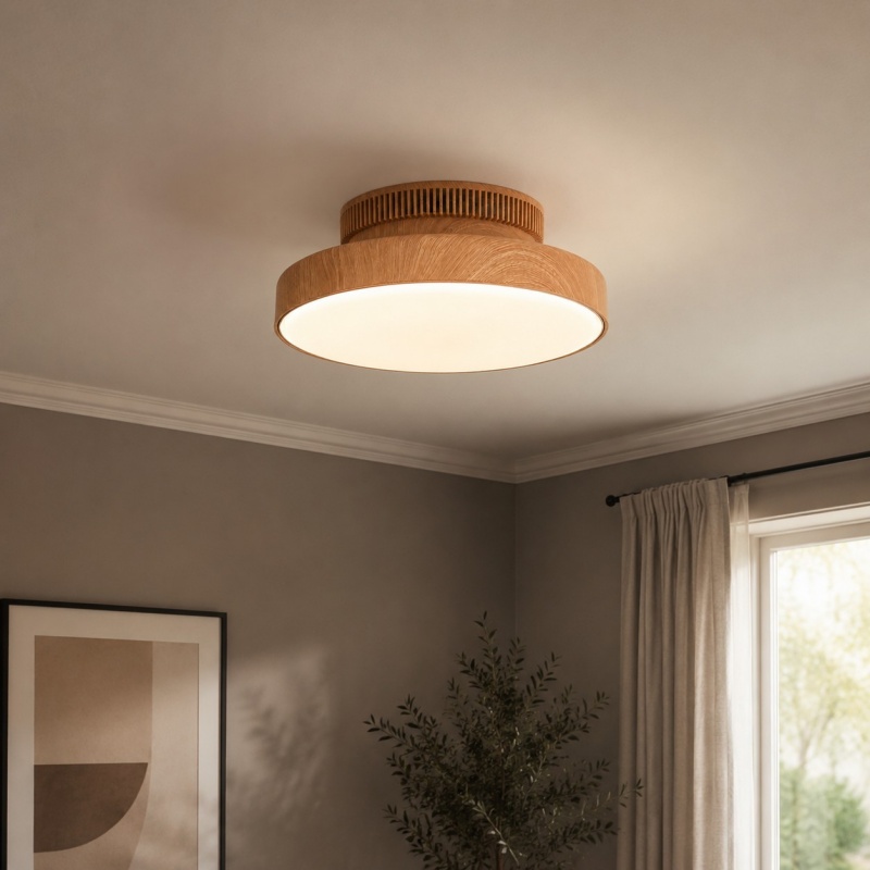 Round LED ceiling light 14