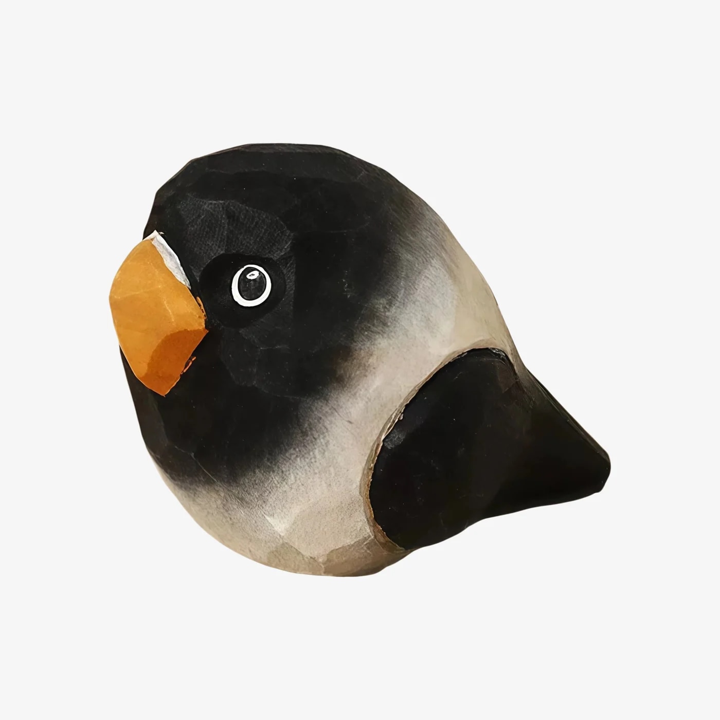 Charcoal-black parrot