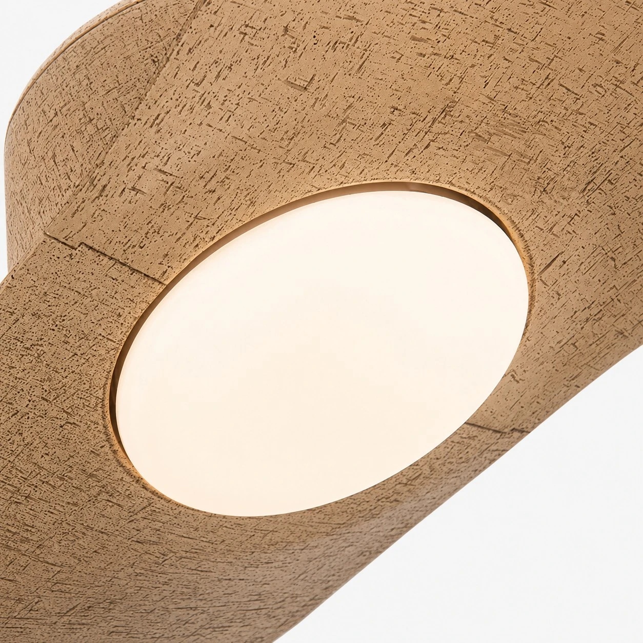 Designer Hat Two-Blade Ceiling Fan Light detail image