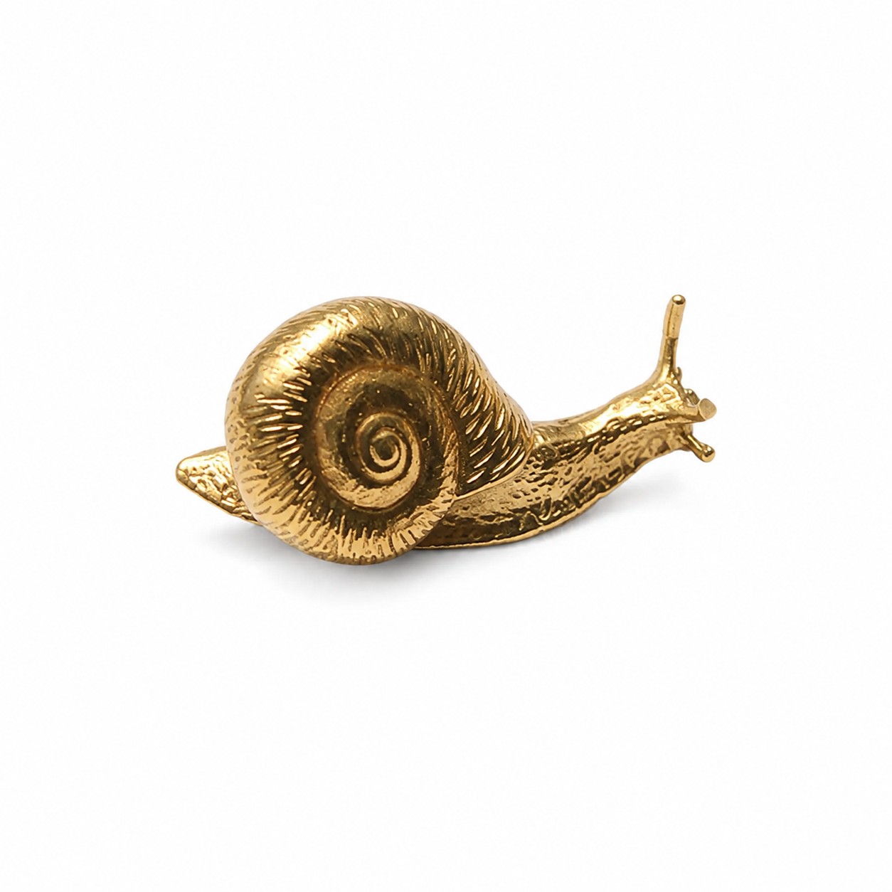 Snail brass cabinet handle, single hole