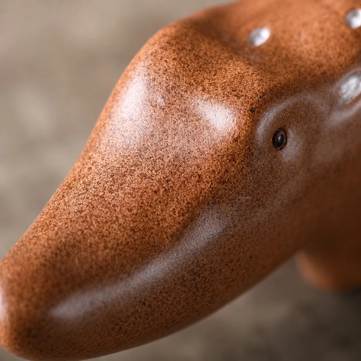 Close view of the anteater sculpture face and surface texture