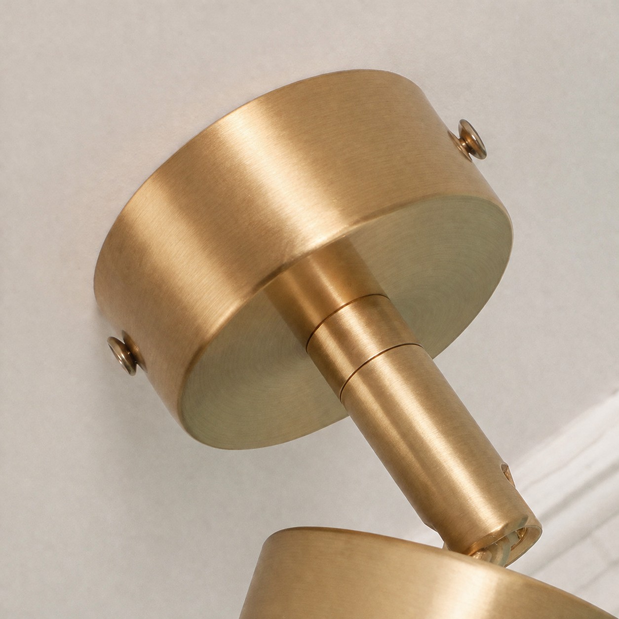Brass ceiling canopy screw and brushed metal detail
